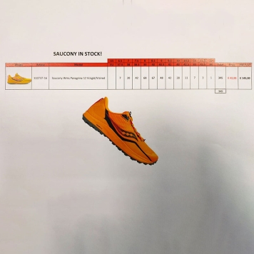 کفش رانینک ساکونی مدل Saucony PEREGRINE 12