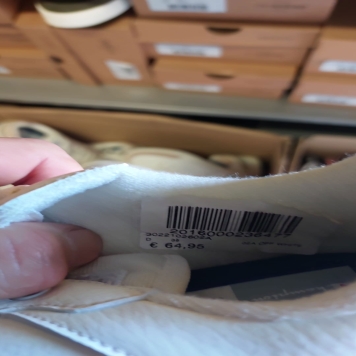 کفش اسپرت و کتانی برند CHAMPION