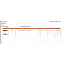 کفش ساکونی  _ saucony s10684