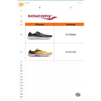 کفش ساکونی  _ saucony s10684