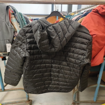 کاپشن کانادایی پاراگوس _ PARAGOOSE